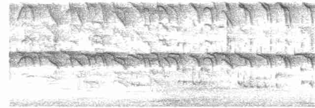 Cratérope affin - ML132317891