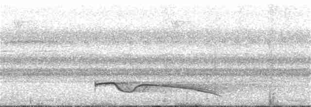 Great Eared-Nightjar - ML132344651