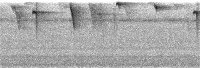Зубцеклювый колибри - ML132402761