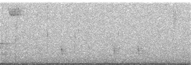 Белогорлая зонотрихия - ML132406761