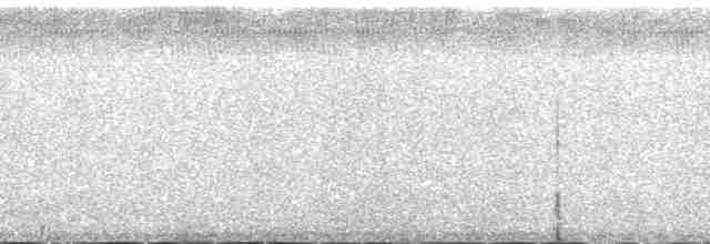 Kestane Sokumlu Tohumcul - ML132411