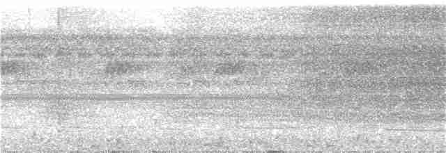 Blue-gray Tanager (White-edged) - ML132415091