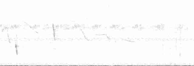 Pepitero Piquigualdo - ML132451