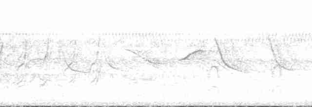 Plumbeous Ibis - ML132454