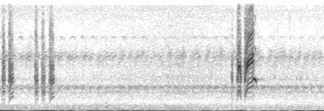 Желтобрюхий курен - ML132481
