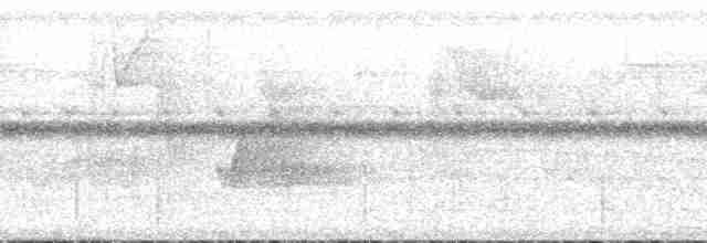 Surukua Trogonu (surrucura) - ML132499