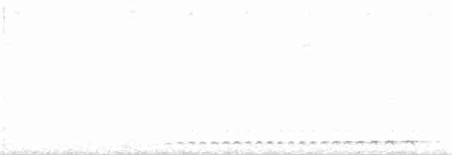 Сплюшка неотропічна - ML132503871