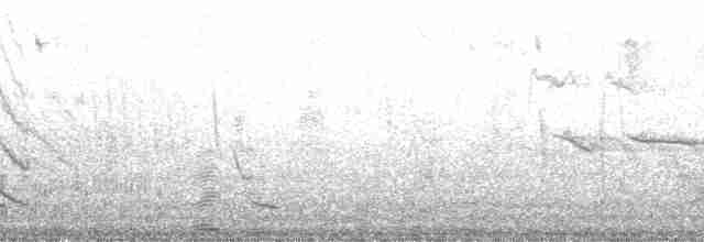 Горная монтерита - ML132521