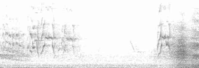 mníšek šedý (ssp. luchsi) - ML132535