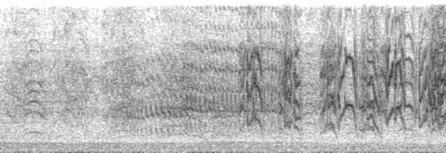 mníšek šedý (ssp. luchsi) - ML132537