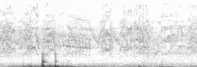 mníšek šedý (ssp. luchsi) - ML132538