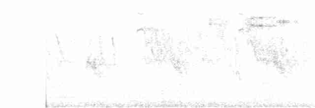 Tropenkreischeule - ML132595561