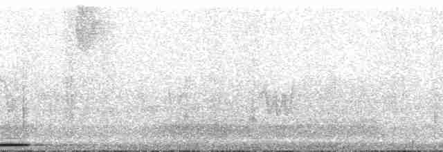 holub andský - ML132605