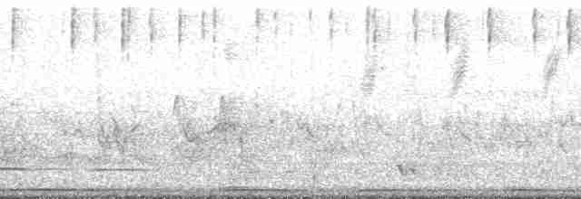 Quebracho Crested-Tinamou - ML132621
