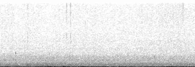 Светлокрылая трясохвостка - ML132655