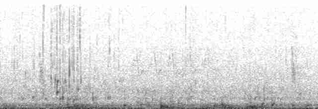 potápka krátkokřídlá - ML132667