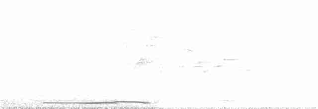 holub bledočelý - ML132687751