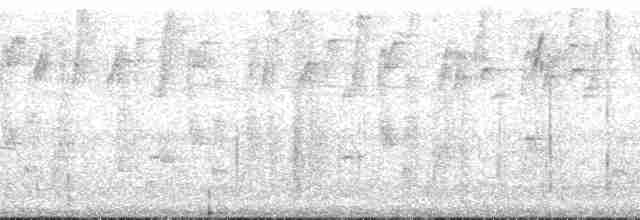 Огненнобрюхая танагра (igniventris) - ML132696