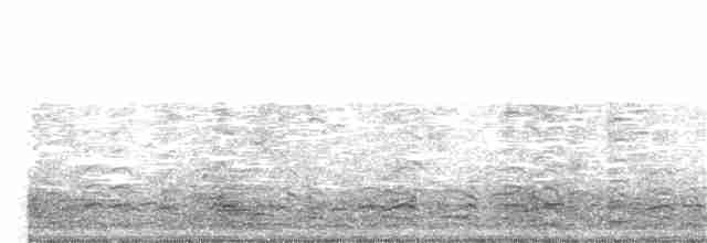 Малая канадская казарка (hutchinsii) - ML132698221