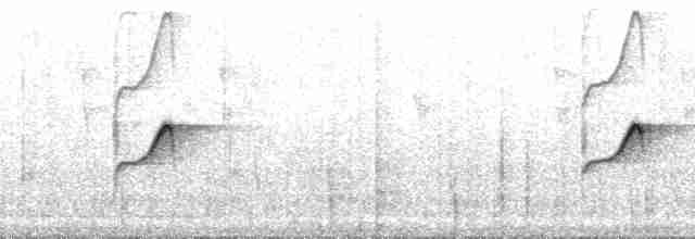 Мухоїд світлогорлий (підвид pallescens) - ML132730