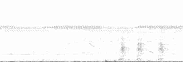 Gelbbauch-Olivtyrann - ML132748