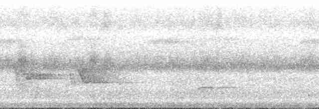 Желтоватый мухоед (pallescens) - ML132749