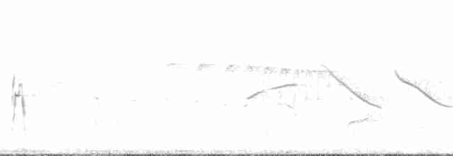 tinama skvrnitokrká - ML132779