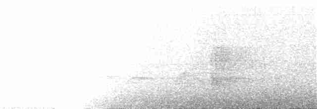 Gökçe Başlı Mavi Karga - ML132790061