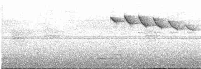Pin-tailed Manakin - ML132799851