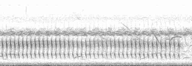 Limnornis à bec courbe - ML132816