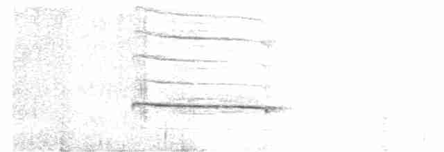 Чагарниця білогорла - ML132830271