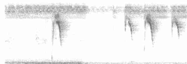 Citrine Wagtail - ML132835881