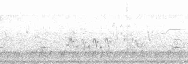 safranspurv (pelzelni) - ML132848