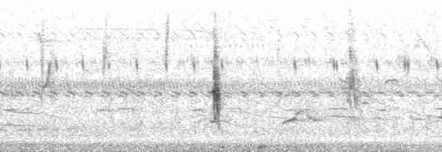 Зерноїд болотяний - ML132863