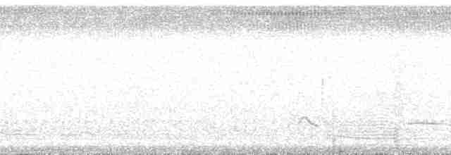 gråkronefrøeter - ML132876