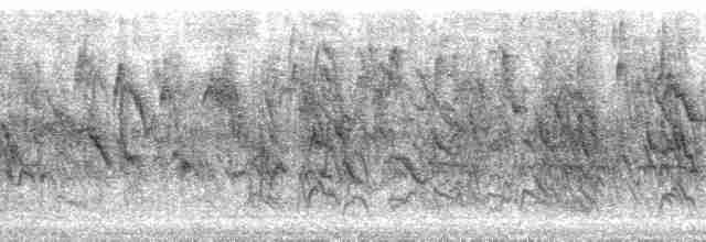 Зерноїд мальований - ML132879