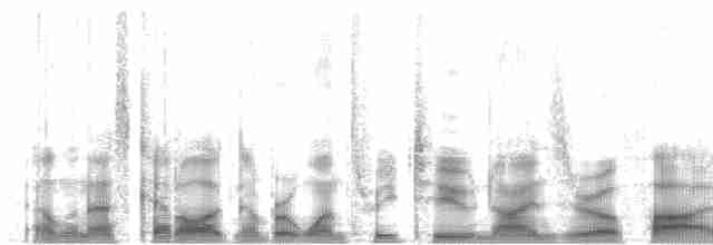 Surukua Trogonu (surrucura) - ML132905