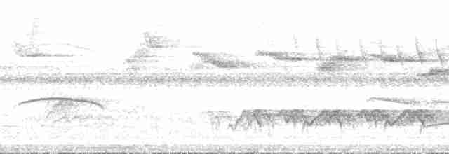 Surukua Trogonu (surrucura) - ML132943
