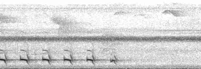 Surukua Trogonu (surrucura) - ML132959