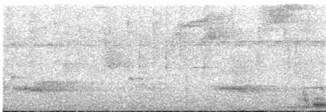 Benekli Gagalı Tukanet - ML133027011
