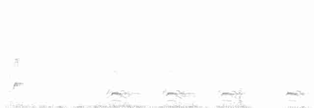 Brown-crested Flycatcher - ML133054111