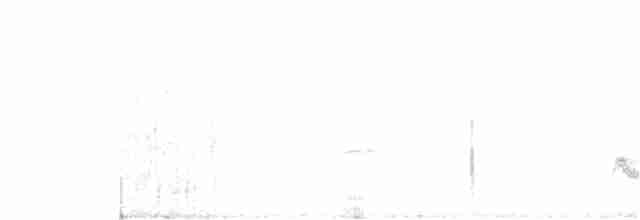 White-crested Elaenia - ML133083611