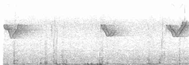 Вівчарик лісовий - ML133101931