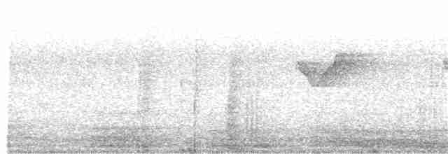 Вівчарик лісовий - ML133102951