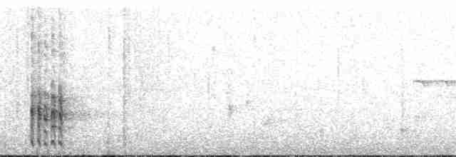 Філідор-лісовик іржастий [група rubiginosus] - ML133111