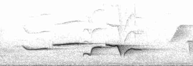 Benekli Göğüslü Çıtkuşu - ML133152