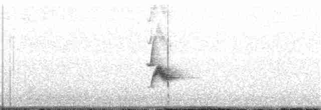 Bicknell Bülbül Ardıcı - ML133154831