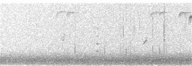 Weißbrustkleiber [lagunae-Gruppe] - ML133192591