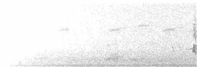 White-cheeked Honeyeater - ML133215901