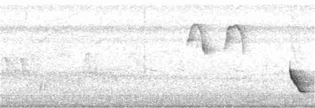 Белоухий крапивник - ML133228091